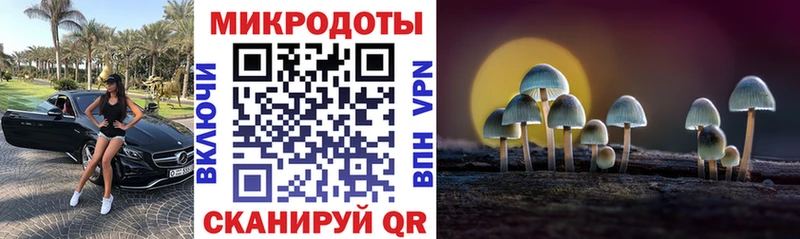 Псилоцибиновые грибы MAGIC MUSHROOMS  купить наркоту  Подпорожье 